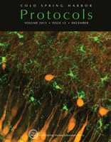 Journal Covers | Dailey Lab - The University of Iowa