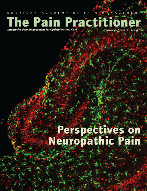 Cover of The Pain Practitioner